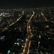 NIIINの画像