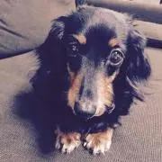 くるーえる