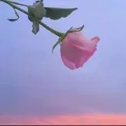 トトロン
