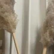 キりんの画像