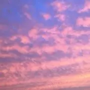 ちょるの画像