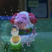 ゆりの画像