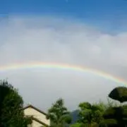 りえ