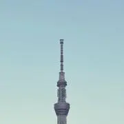 【即購入OK】紅茶の画像