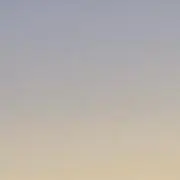 Mapleの画像