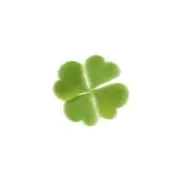 Clover˙.꒷☘︎の画像