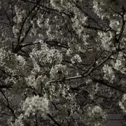 サの画像