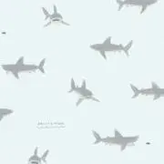 Aの画像