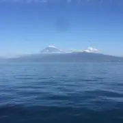 ✴︎イナズマ✴︎の画像