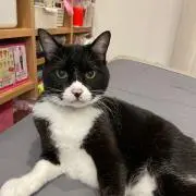 こじこまちゃん