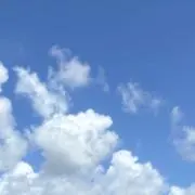 annの画像
