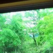みどり