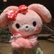 プロフ必ず確認下さい♡piの画像
