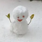ファーの画像
