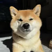 べーこんえぴぴの画像