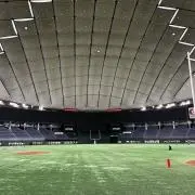シュウトの画像