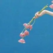reonの画像