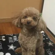 koko:;の画像