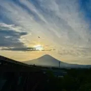 この画像