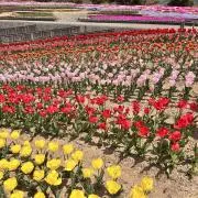 eme. 値下げ依頼歓迎です♪