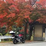 kamakouの画像