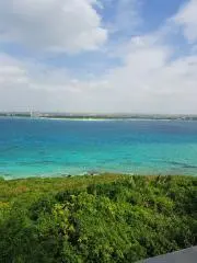 たらたらの画像