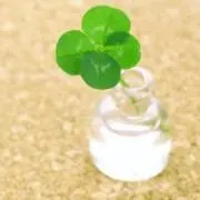 midoriஐの画像