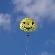 ちょんの画像