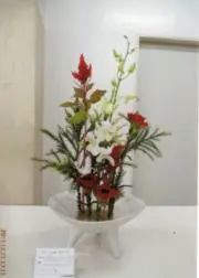 苹果の画像