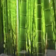 ТSKHRK LОVE
