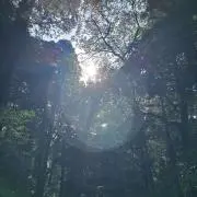 tsumusugu.の画像