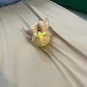 こんどー紳士の画像