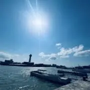 Sally-【月〜木24時間以内発送】