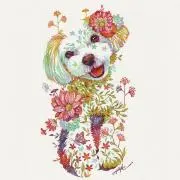 ameの画像