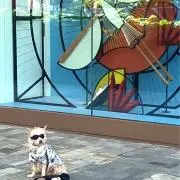 アロハ21