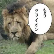 らいおんの画像