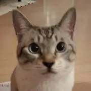轟天510