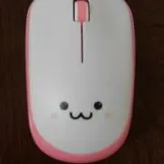 橙の画像