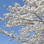 miの画像