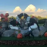 なつの画像