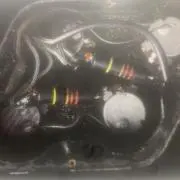 バンブルビーの画像