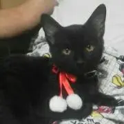 ゆぅ