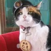 たま