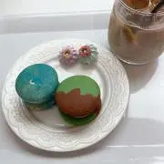 レヴィの画像