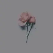 Ryoの画像