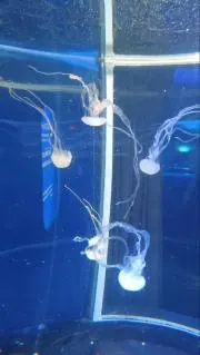 なの画像