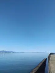 bleuの画像