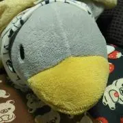 てんの画像