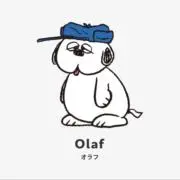 24h以内発送！Ｏｌａｆの画像
