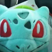 しろくまの画像